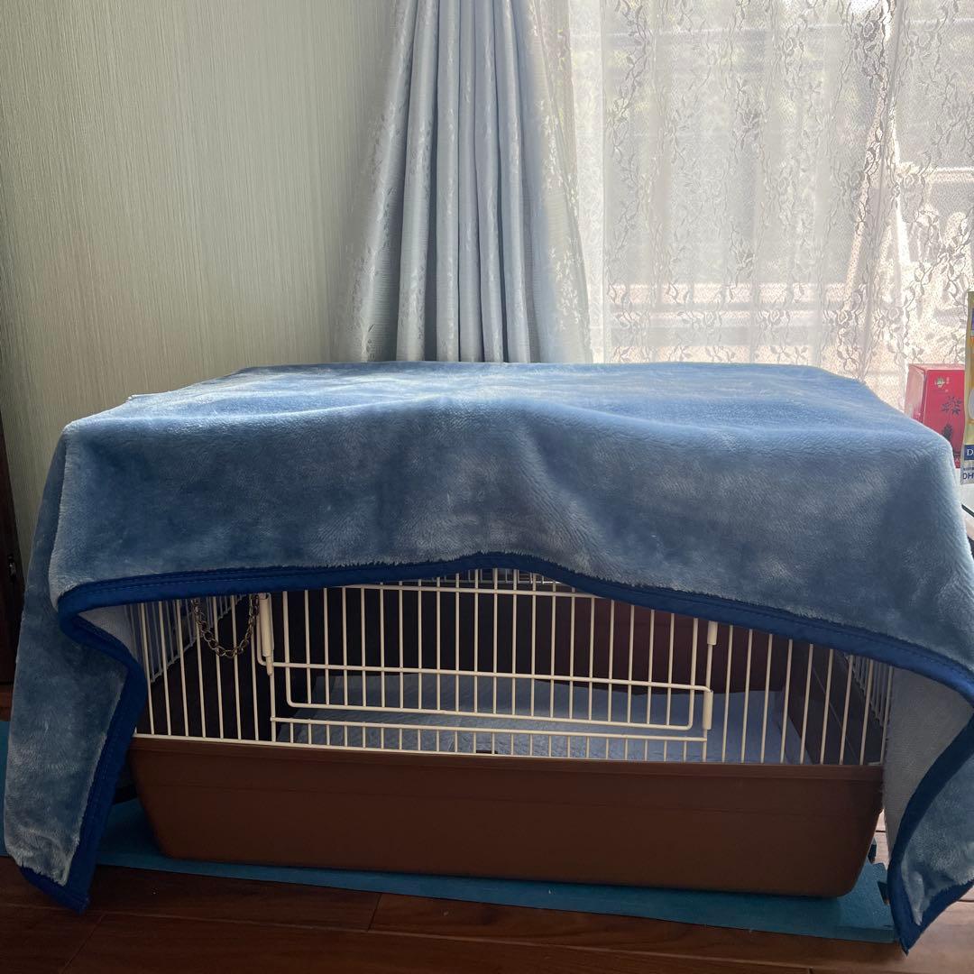 ハリネズミグッズセット