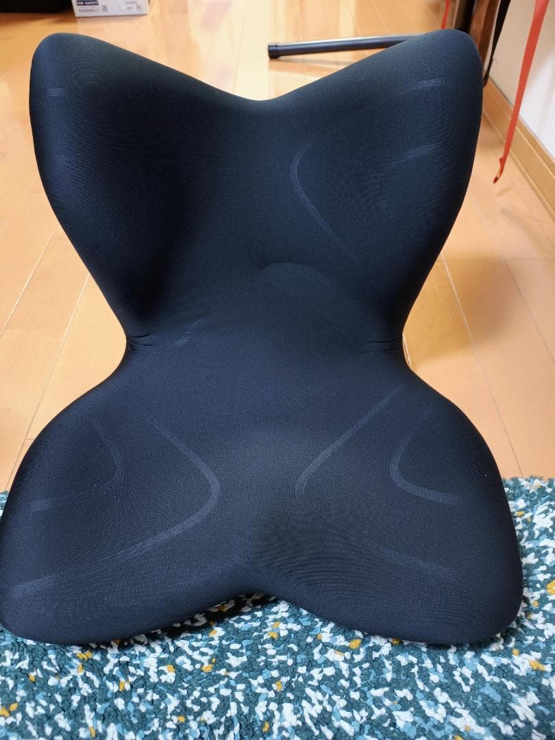 Style PREMIUM 椅子 骨盤 姿勢 ケア 座椅子 スタイル プレミアム