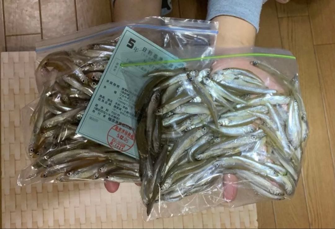 ワカサギ　ステンレス穂先　全長約220ミリ　2本