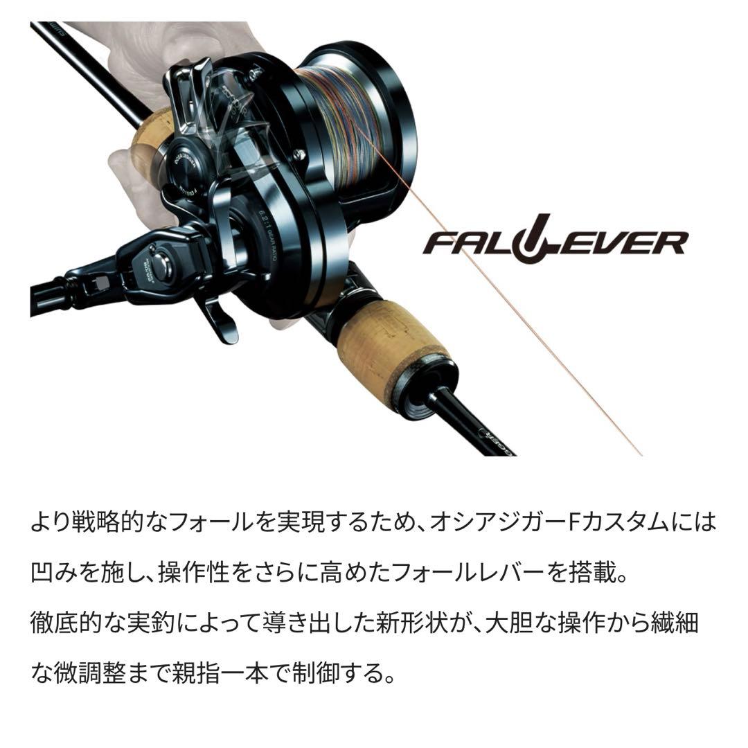 リール OCEA JIGGER F CUSTOM 2000NRHG