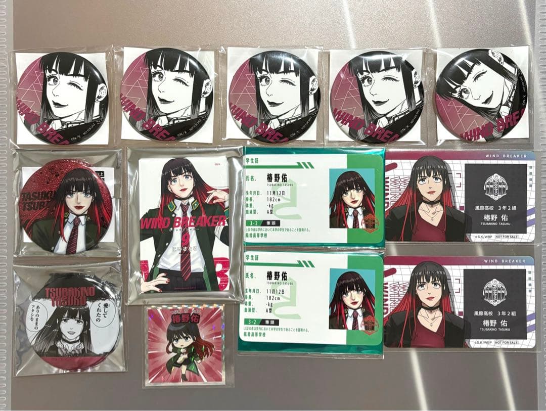 WIND BREAKER ウィンブレ 椿野佑