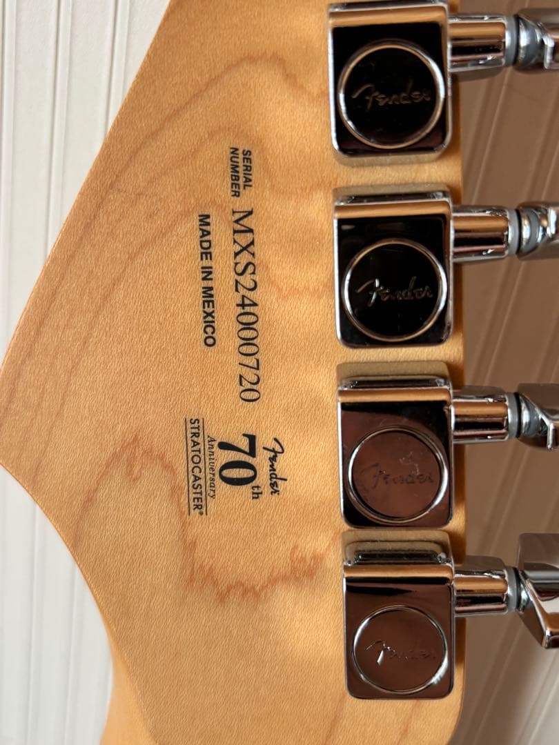 ギター Fender Stratocaster Mexico