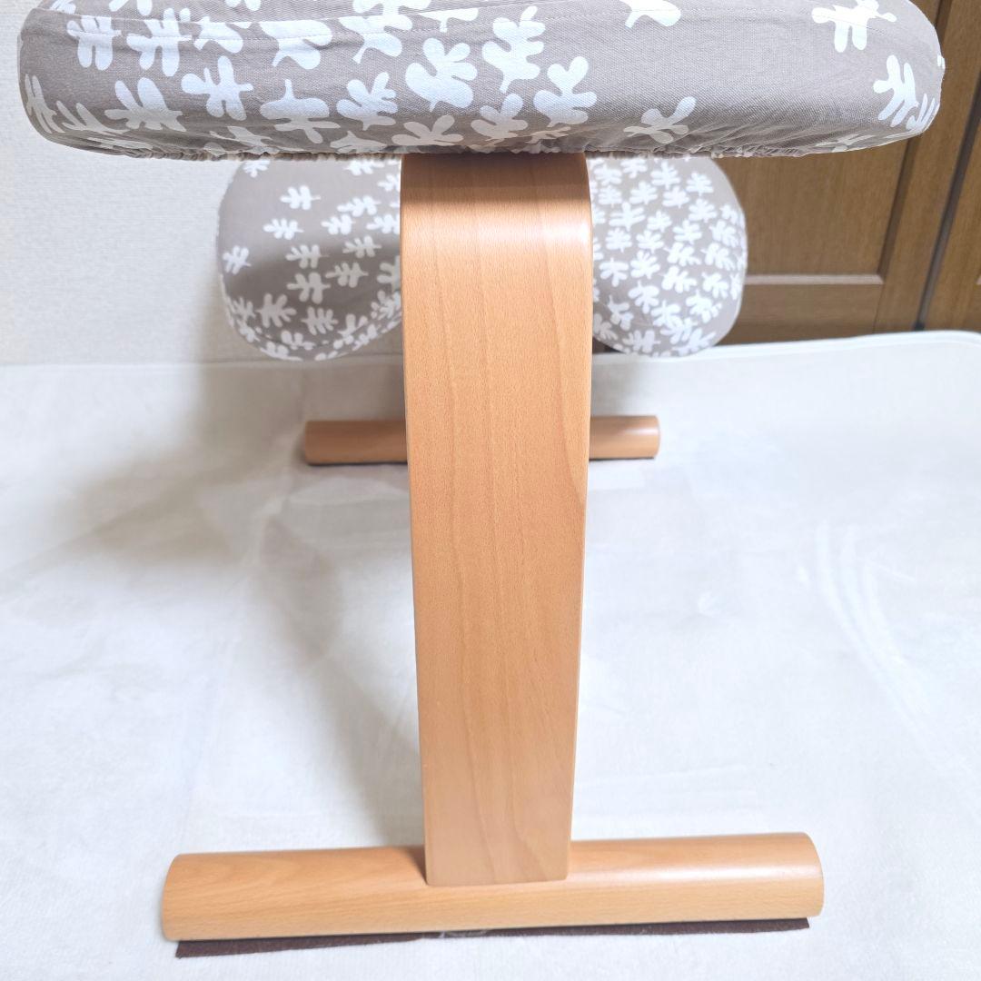 446】Rybo リボ社 Balans Easy バランスイージー カバー付