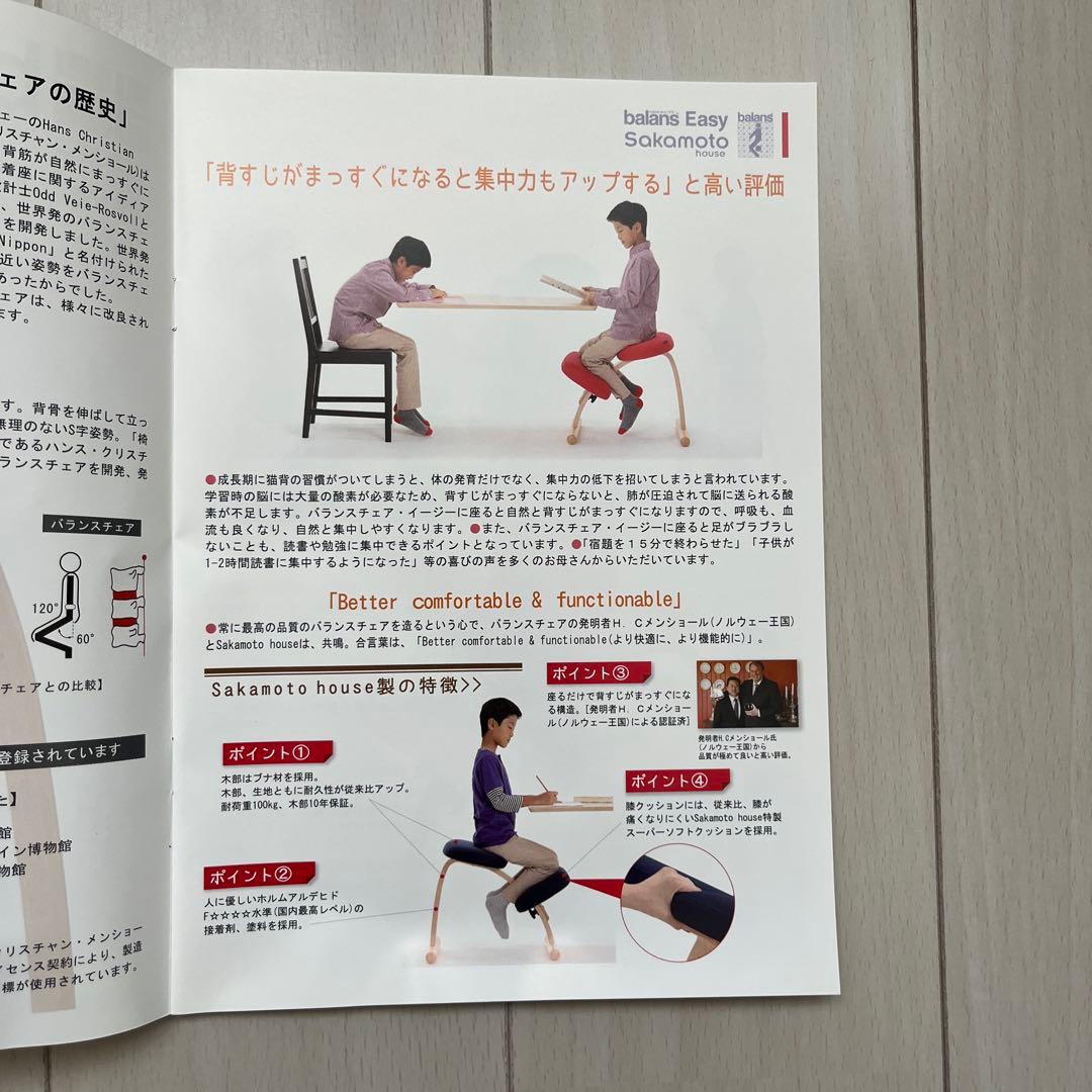 リボ・バランスチェアイージー