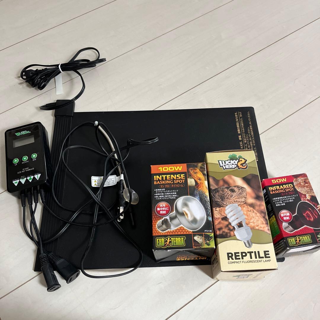 ミントのくちばし　