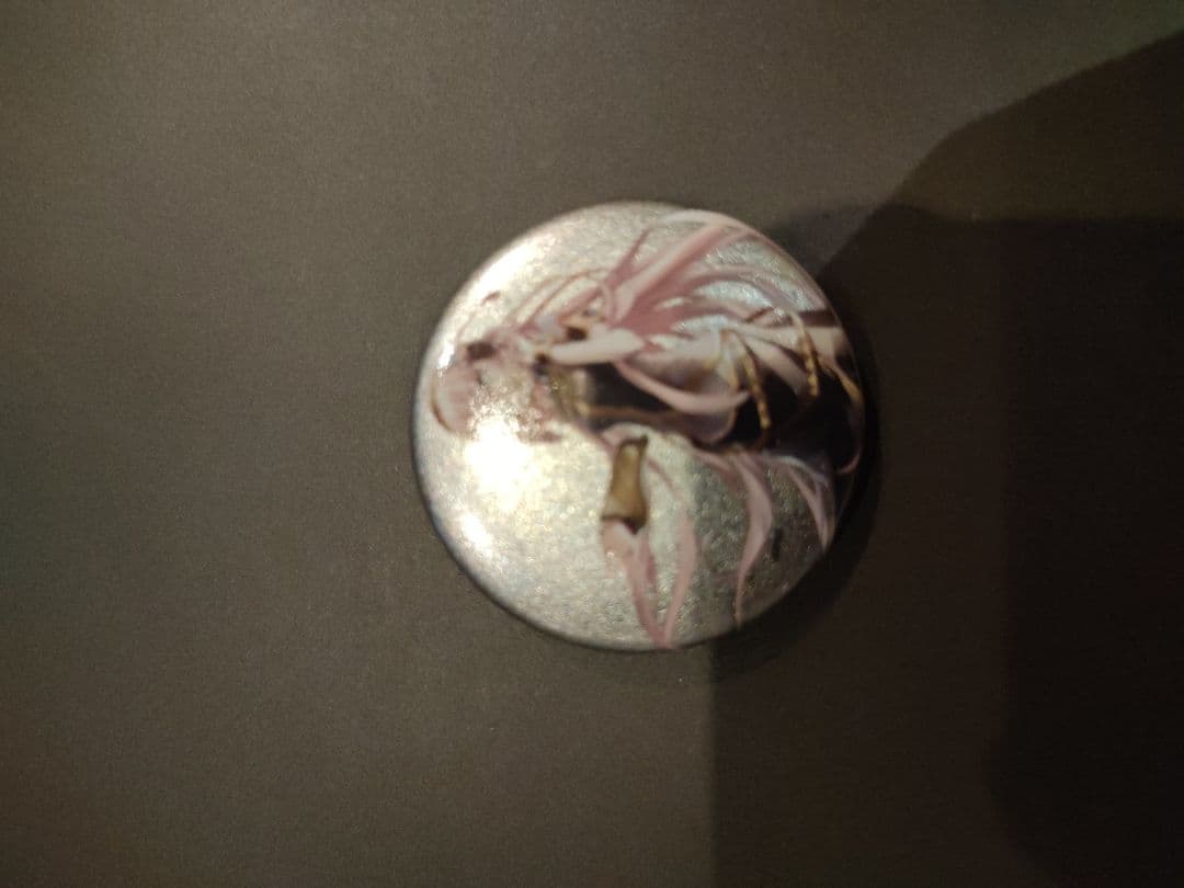 巡音ルカ 缶バッジ 初音ミク