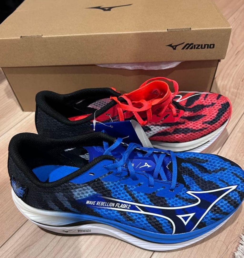 Mizuno ウェーブリベリオンフラッシュ2　 25.5cm