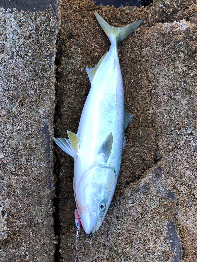 コルトスナイパーBB 1000MH