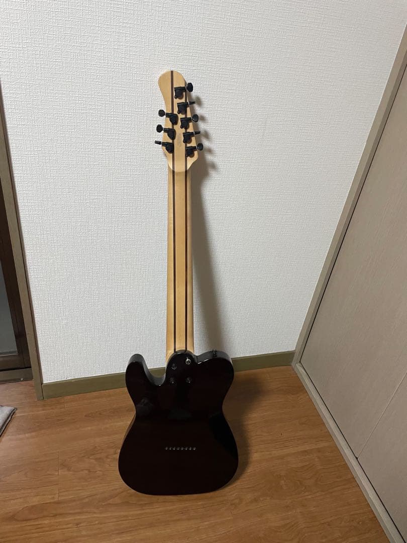 Michael kelly birds eye 8 strings テレキャスタ