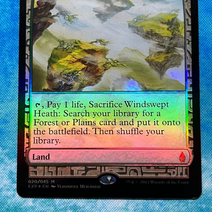 MTG 英語版 foil EXP 吹きさらしの荒野