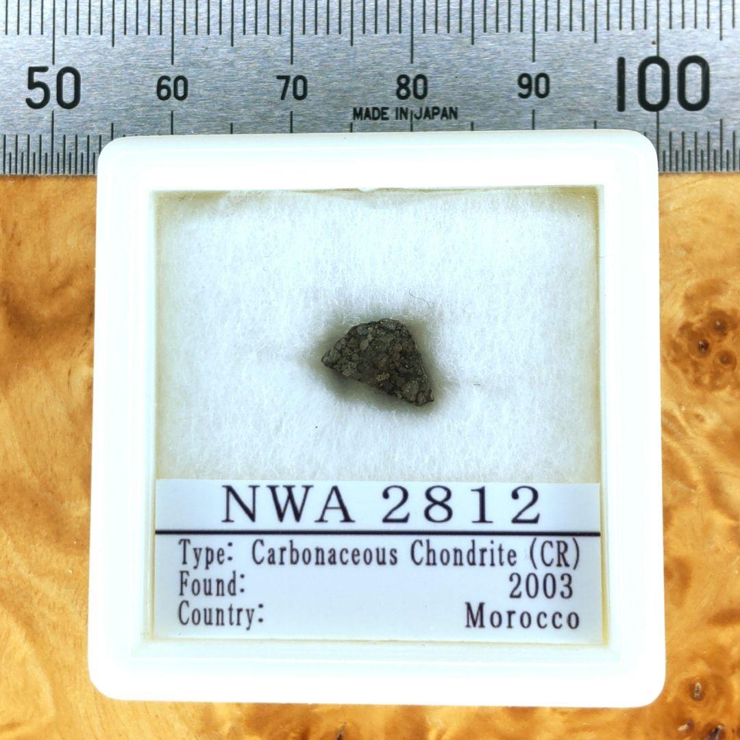 綺麗な炭素質コンドリュール NWA2812隕石標本