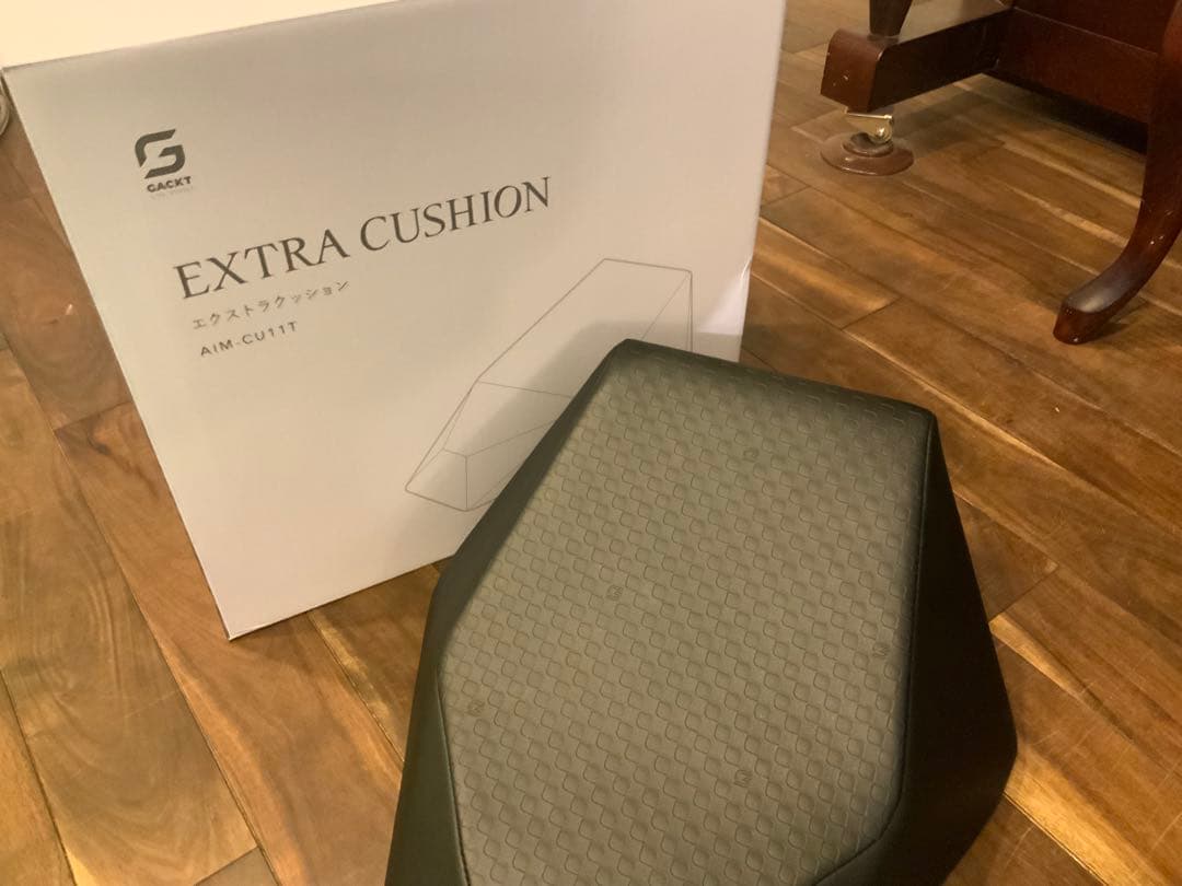 GACKT エクストラクッション EXTRA CUSHION