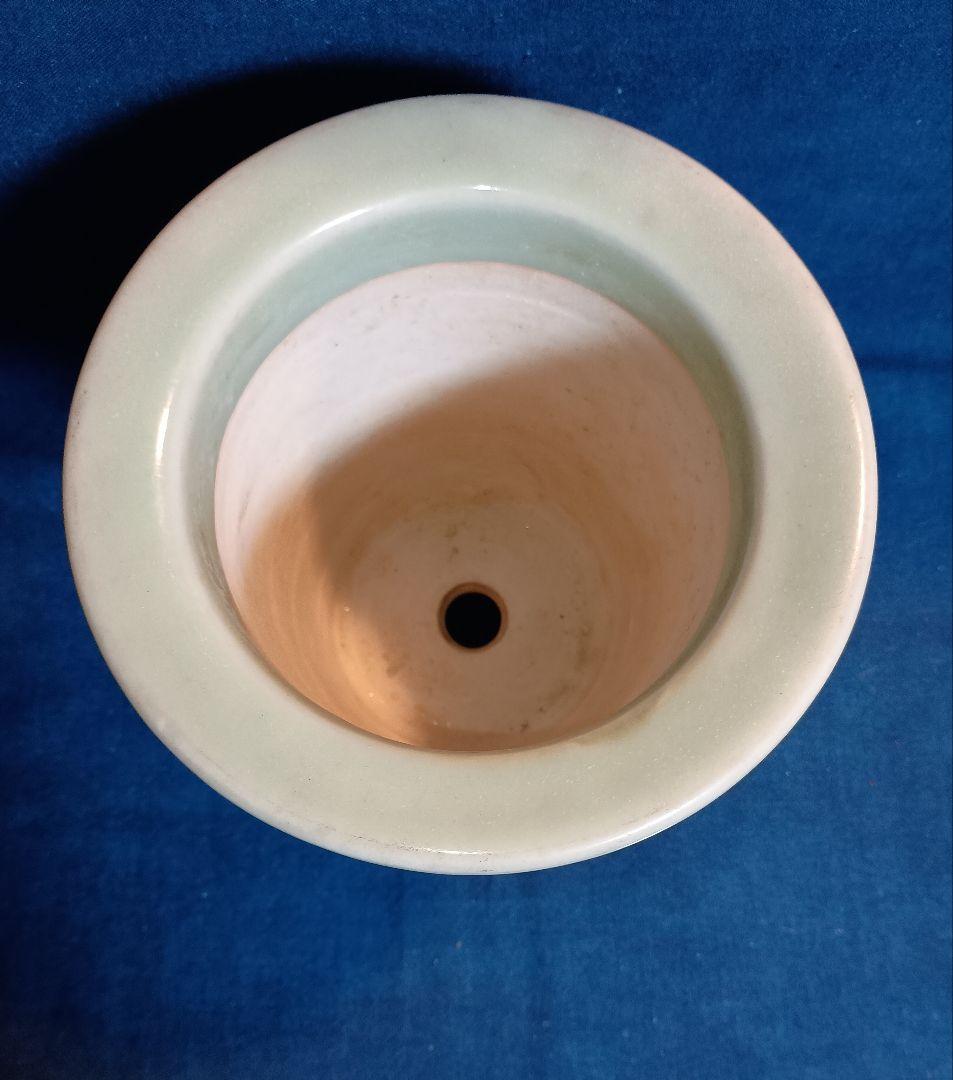 富貴蘭鉢　青磁波千鳥　骨董鉢　蘭鉢