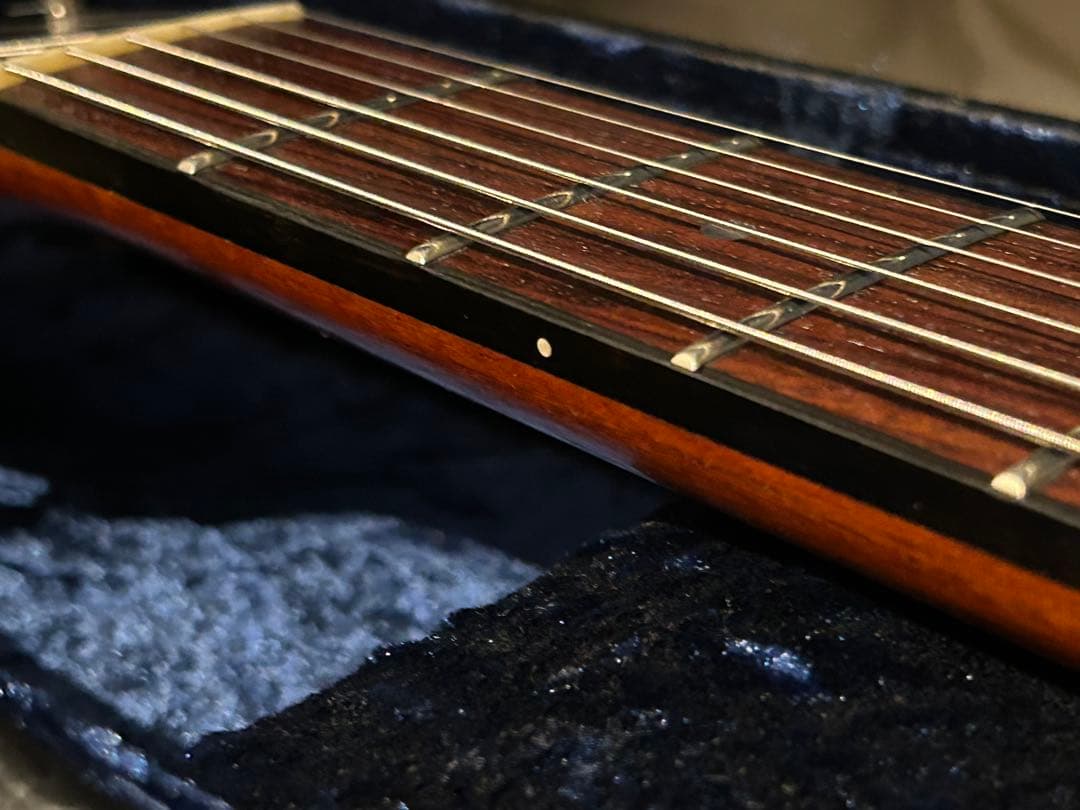 ギター Larrivee RS-2