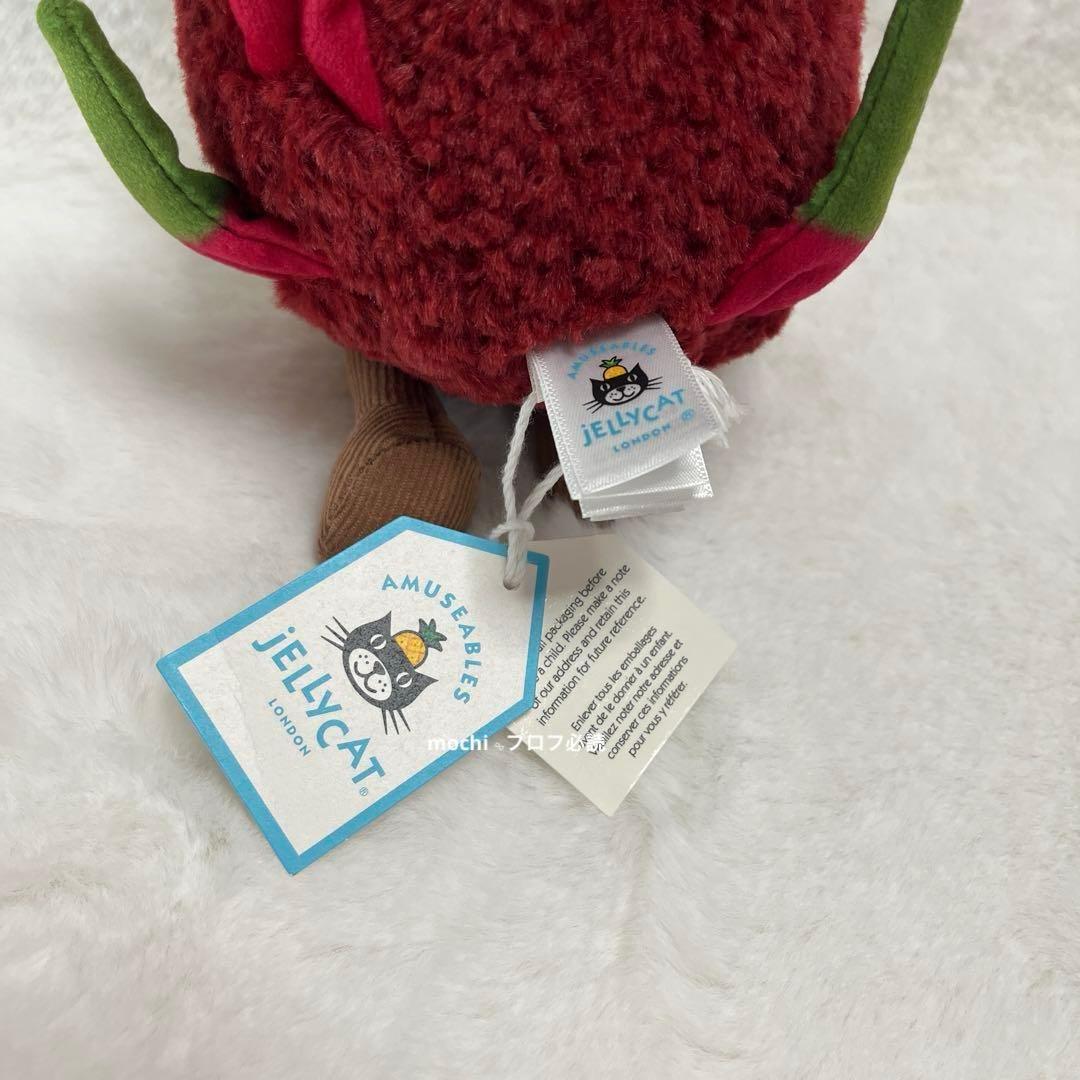  AmuseablesDragonFruitドラゴンフルーツ