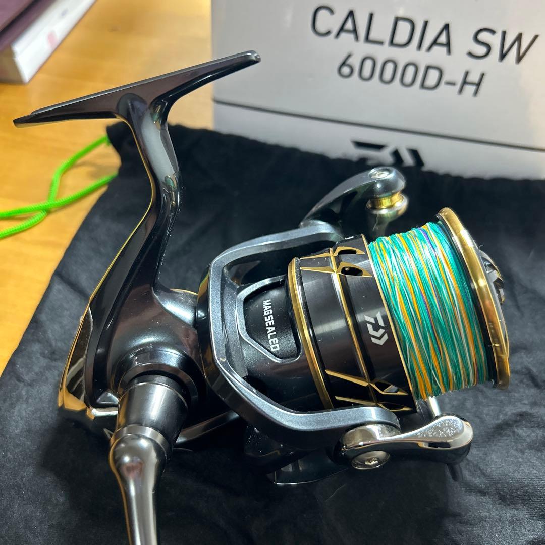 カルディアsw6000DーＨ