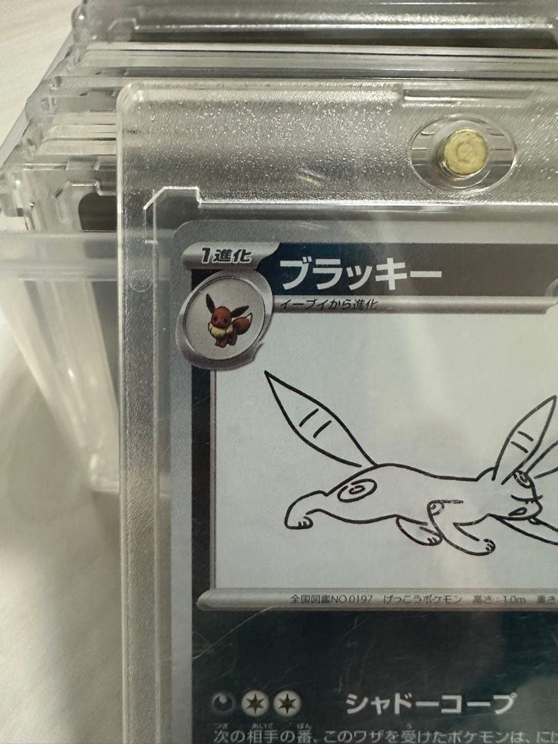 ブラッキー プロモカード 長場