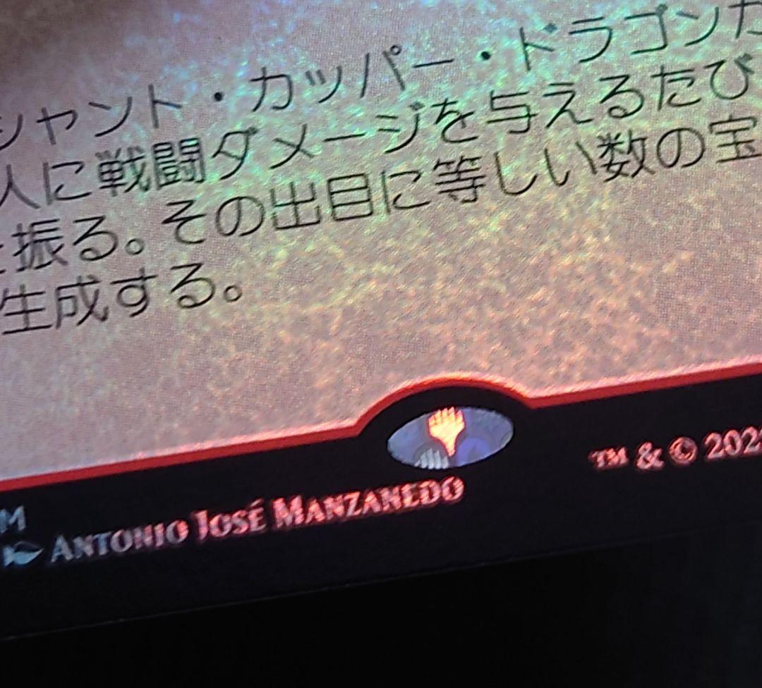 mtg 超稀少個体 プレリ FOIL エインシャント・カッパー・ドラゴン 日本語