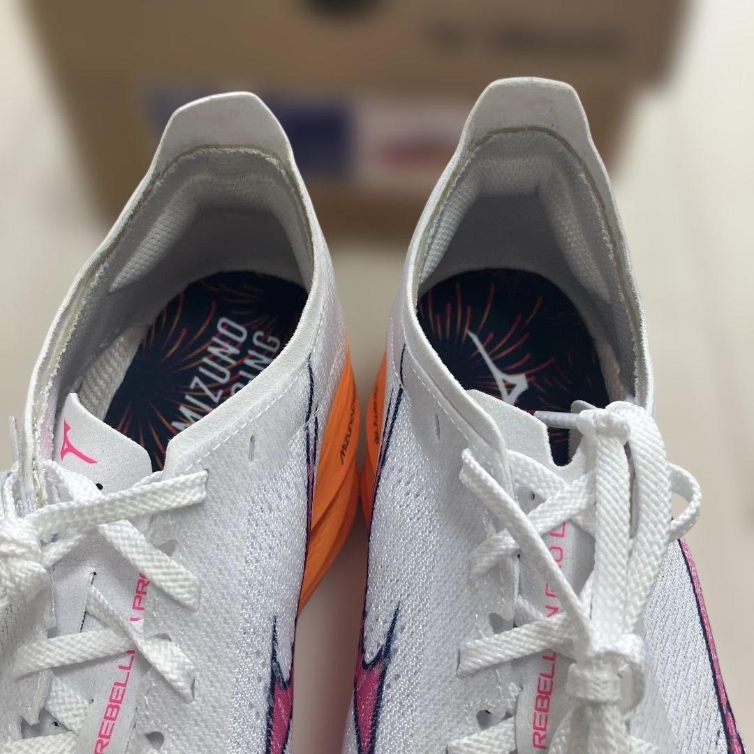 Mizuno ミズノ ウェーブリベリオンプロロー　26.0