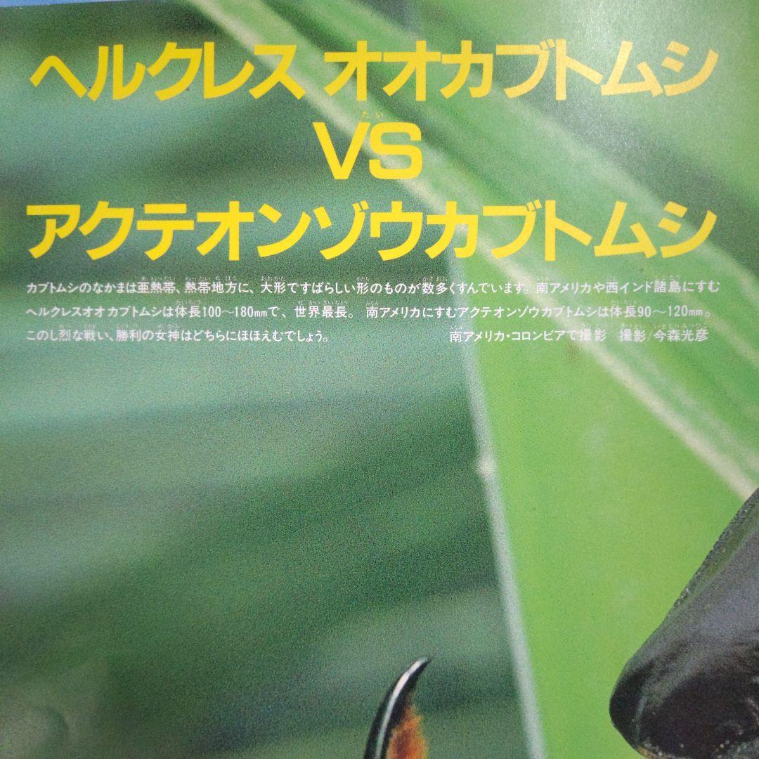 昆虫図鑑付録未使用折りたたみポスター 付海外カブトムシ＆クワガタ昭和58年当時品