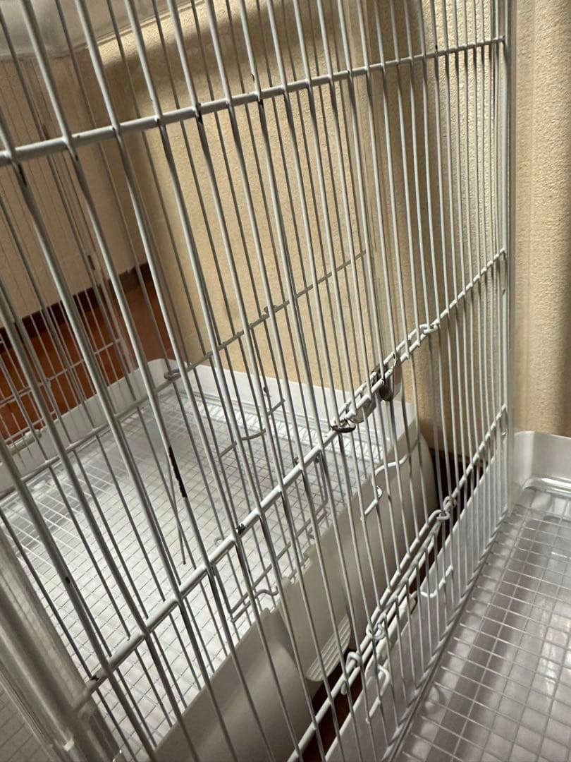 クリアバード40 2個