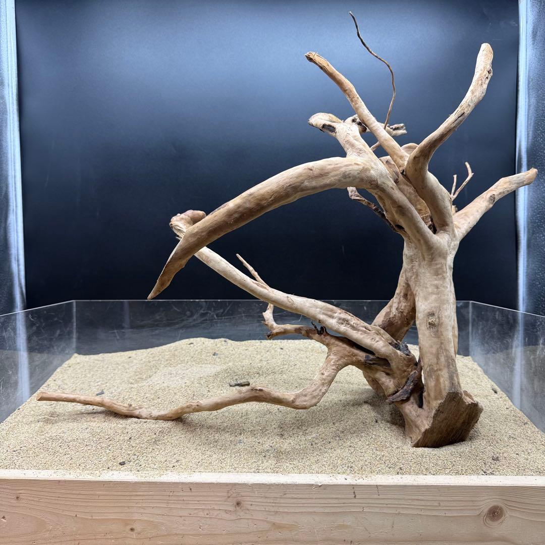MDW-7159 特大ブランチウッド　流木　枝流木　アクアリウム