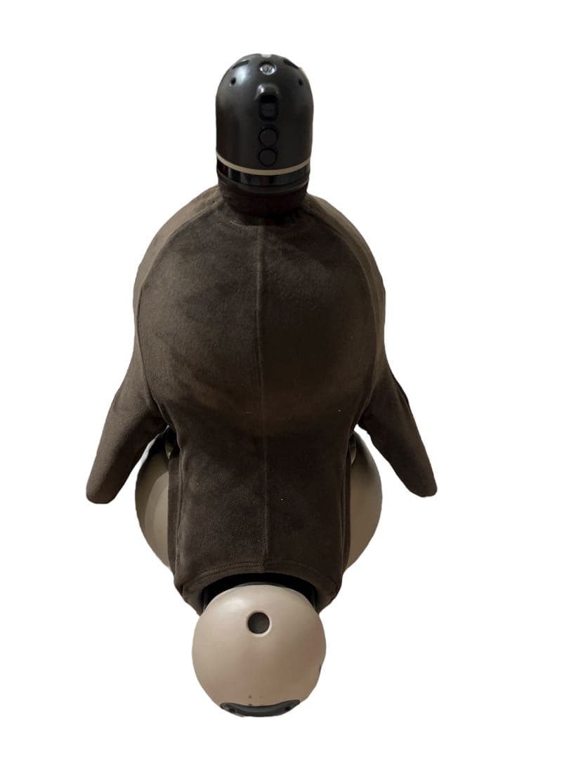 LOVOT 　初代 デュオ　2020年頃購入