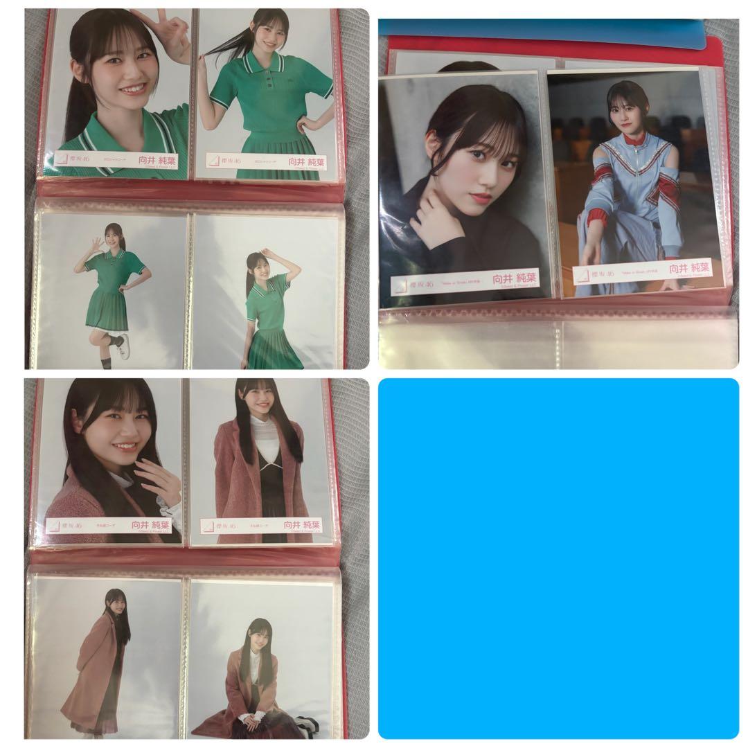 櫻坂46 向井純葉 生写真 コンプ まとめ売り