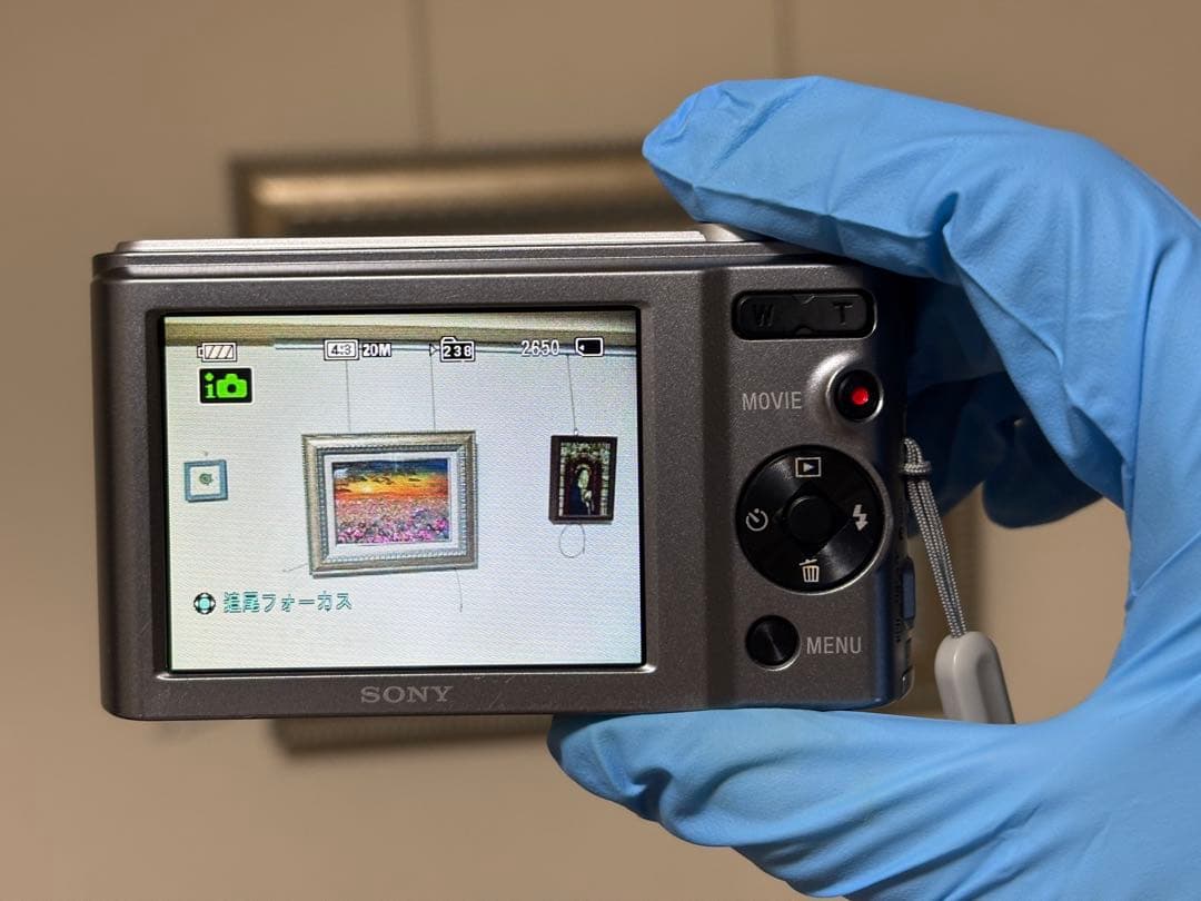 SONY サイバーショット DSC-W810 動作確認済み 本体、バッテリーのみ