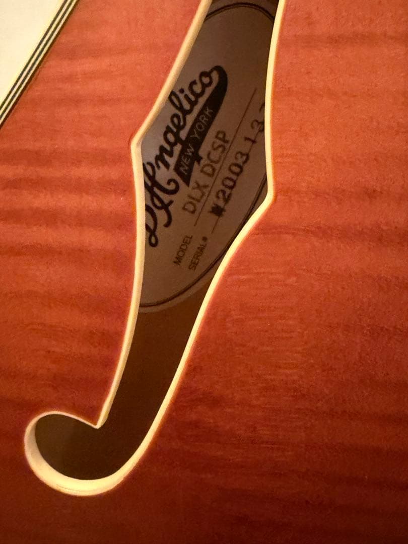 ギター Deluxe Mini DC Limited Edition MWLNT