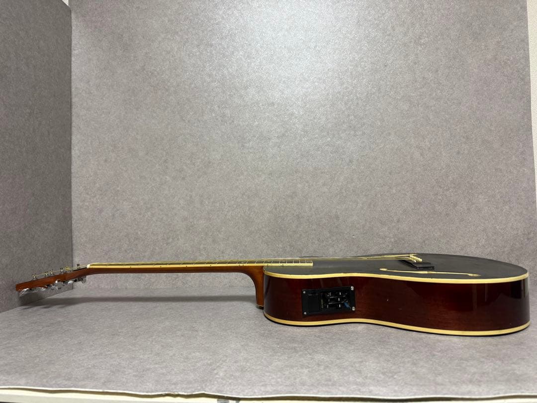 エレアコ Fホール 塗装 詳細不明 ブラック アコースティックギター