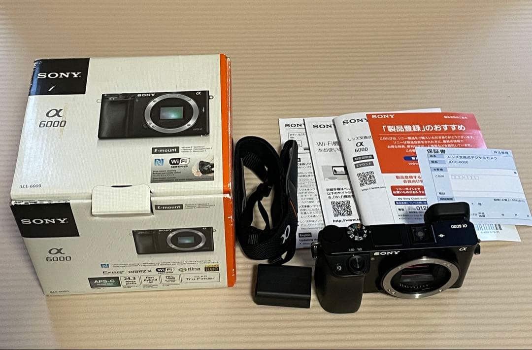 SONY α6000 ILCE-6000 動作確認済【総ショット数1557】