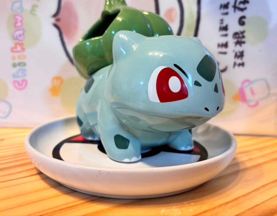 土日限定価格！フシギダネ 鉢植え 皿付き