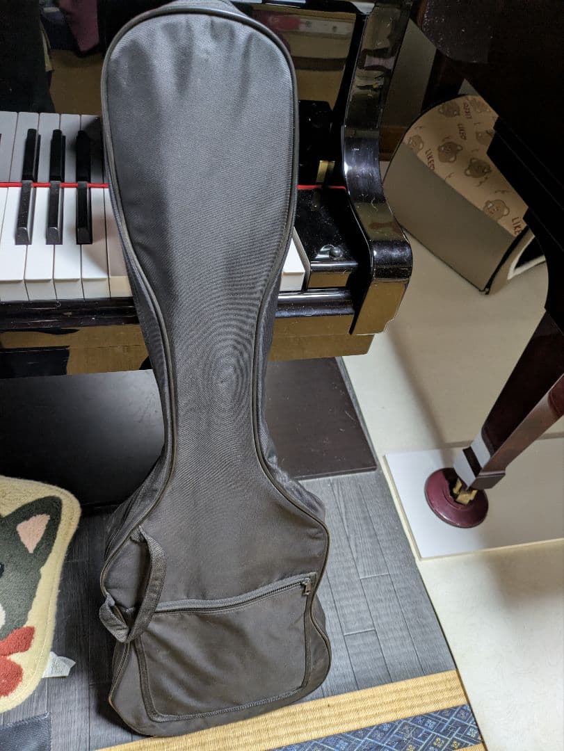 フォトジェニック　ブルー　エレキギター　ストラトキャスタータイプ