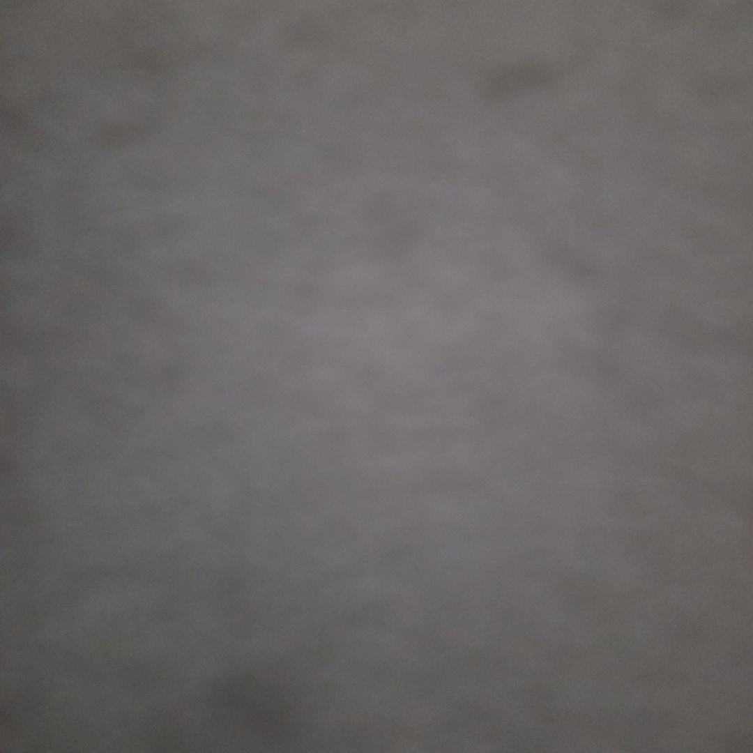 LIZアブガルシア　アンバサダー 1500C Nostalgia レッド