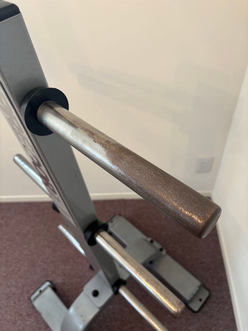 ※専用※有名メーカー\"PRECOR\"プレートツリー