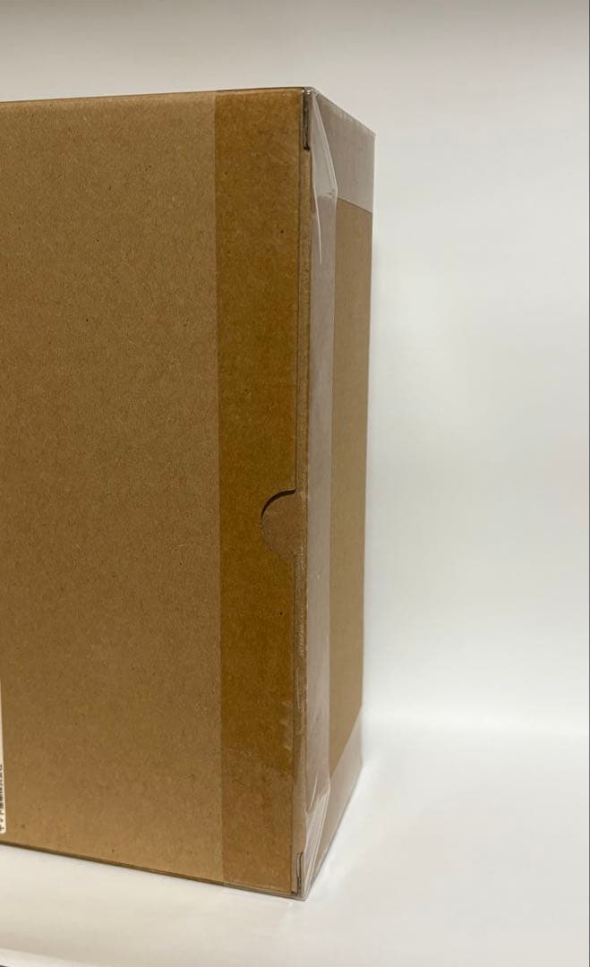 【新品未開封】 ポケモン スケールワールド コライドン