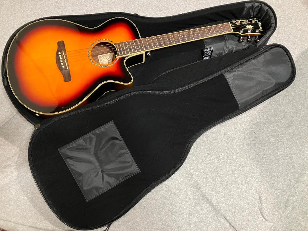 IBANEZ AEG10 ii-VS エレアコ 小ぶり 入門に 手の小さい人に