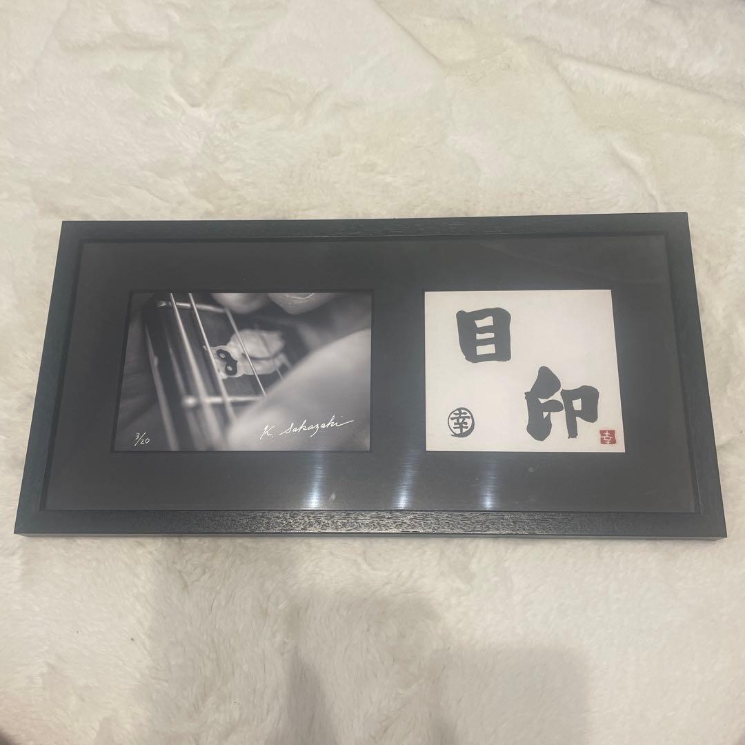 THE ALFEE 坂崎幸之助　書写真　目印