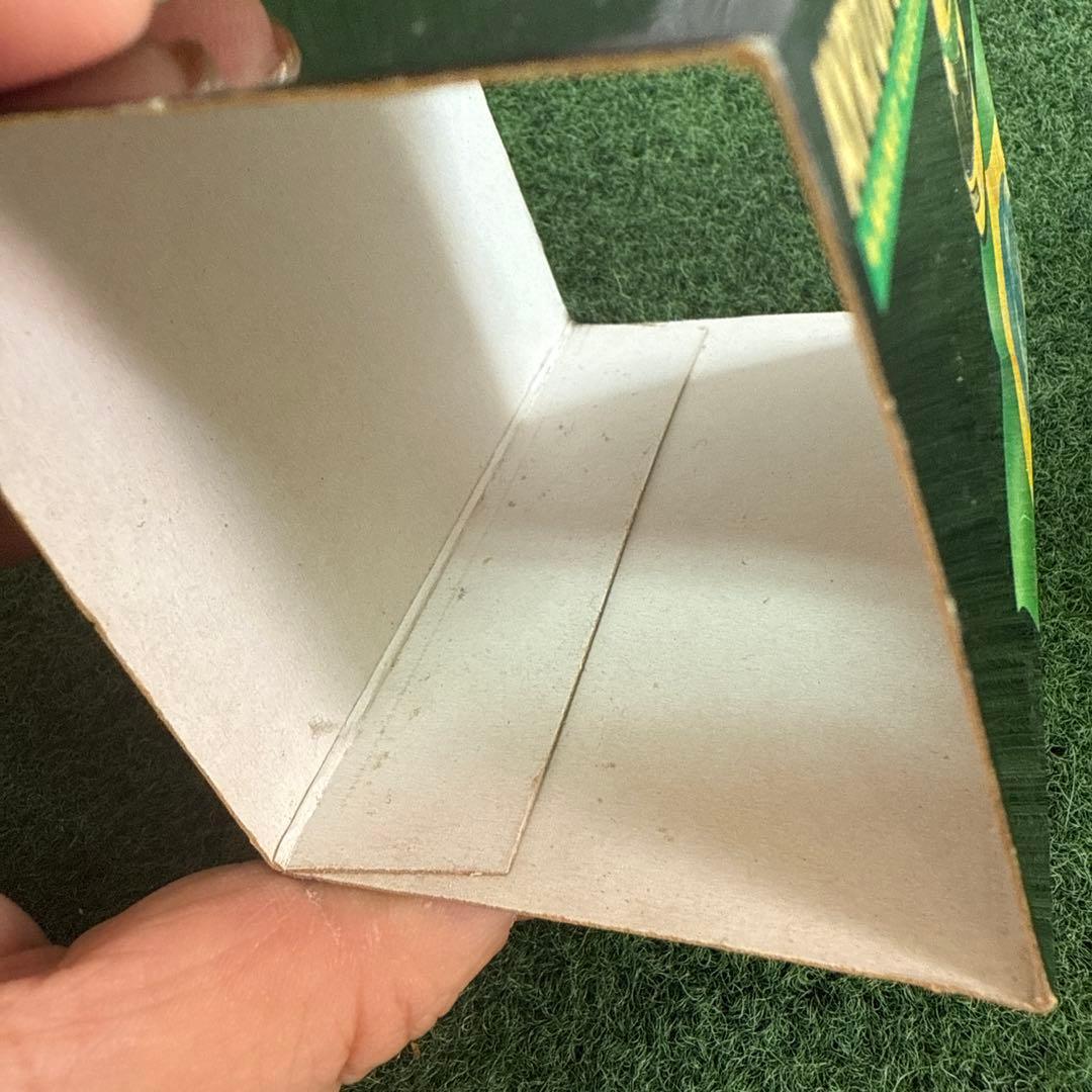 AYRTON SENNA ヘルメットコレクション 1993