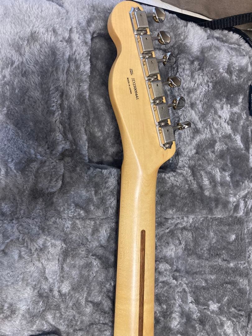 Fender MIJ Limted Raw Ash テレキャスター　BLK