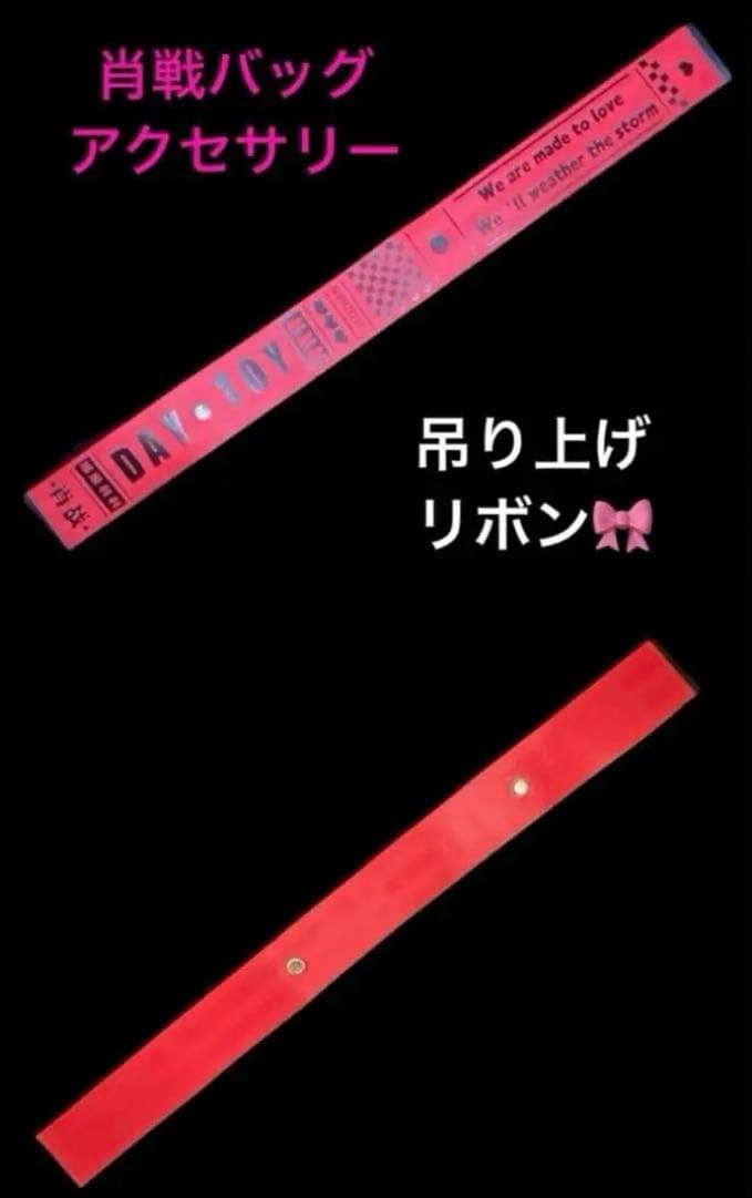 mooさま専用♡肖戦 トートバッグ(黒・白)ポーチ リボン セット 王一博リボン