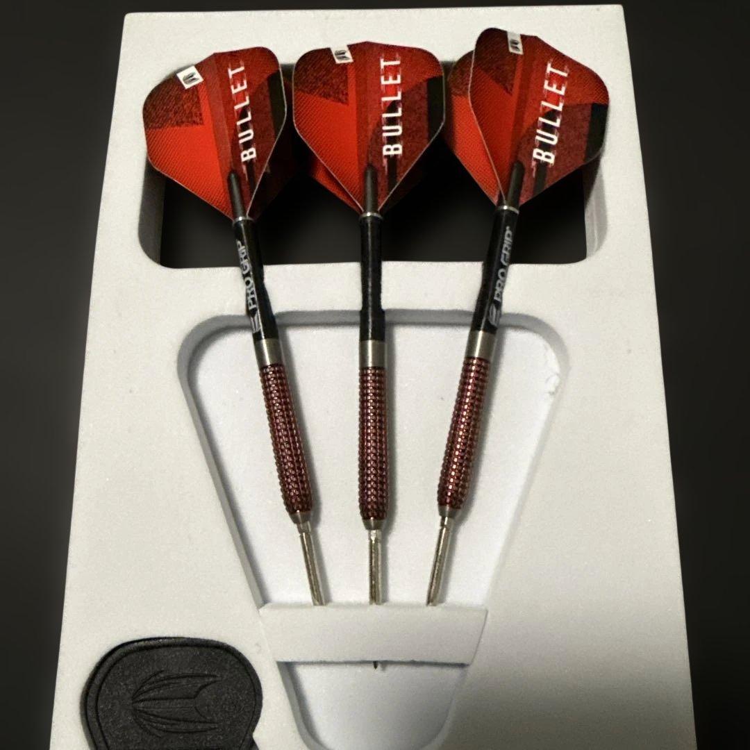 ターゲット バンティング G4 スティール 12g スイスポイント　レア品（廃盤