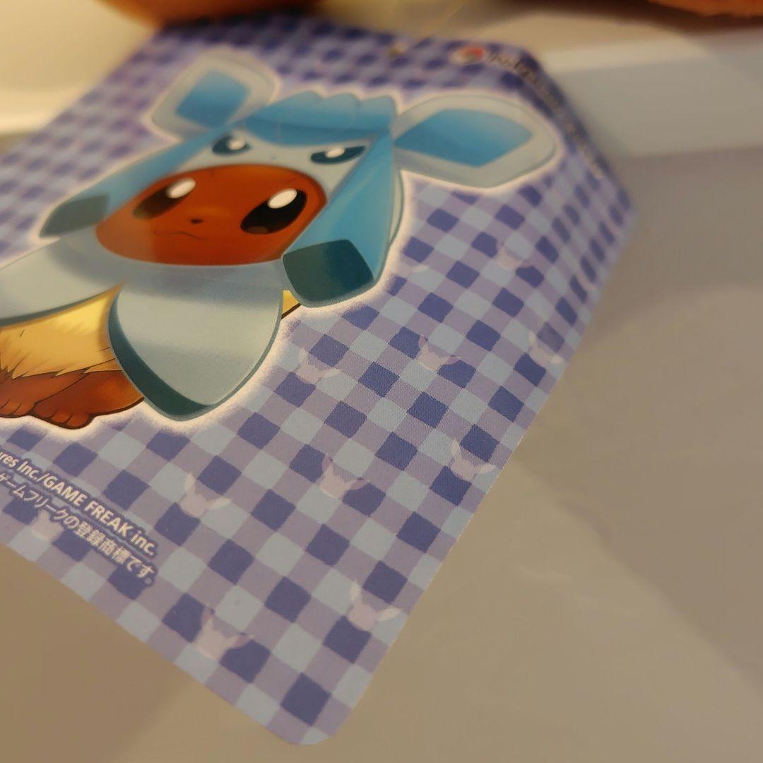 ポケモン グレイシアのポンチョを着たイーブイ ぬいぐるみ グレイシア イーブイ