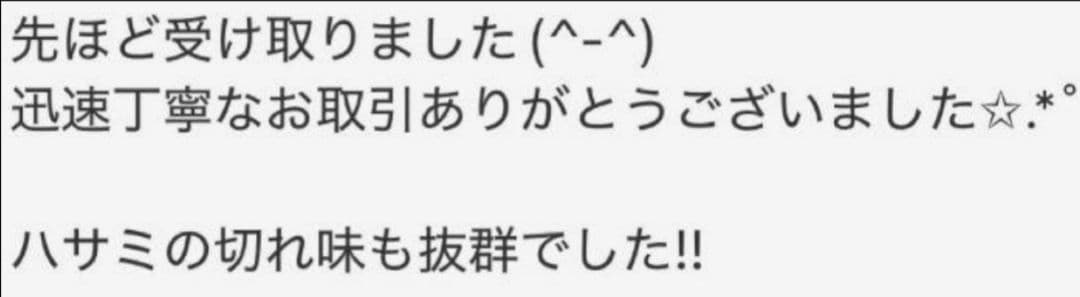 切れ味抜群プロ用セニングシザー理美容師スキバサミ＆トリマートリミングペット可