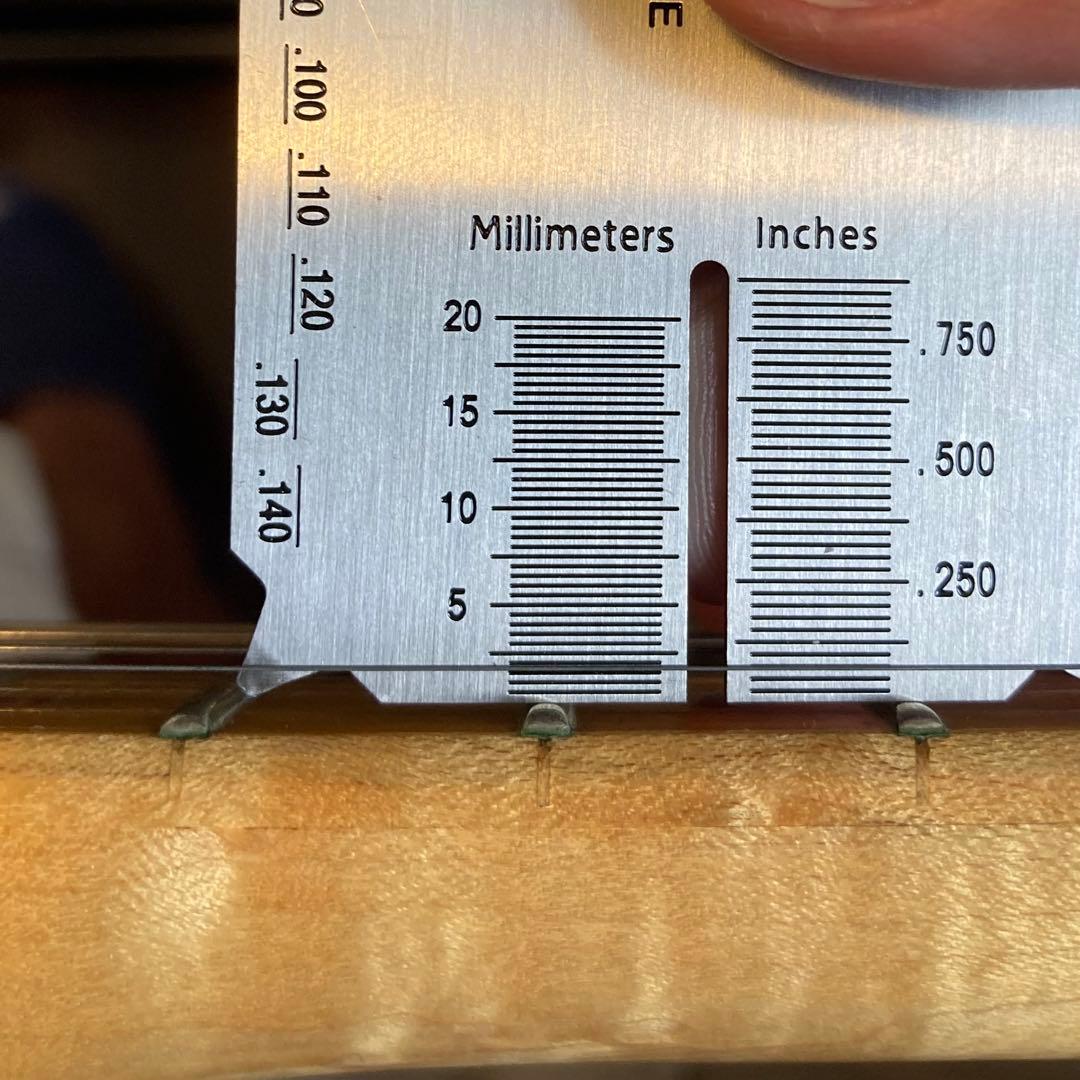 ギター Fender Warmoth Telecaster Thinline