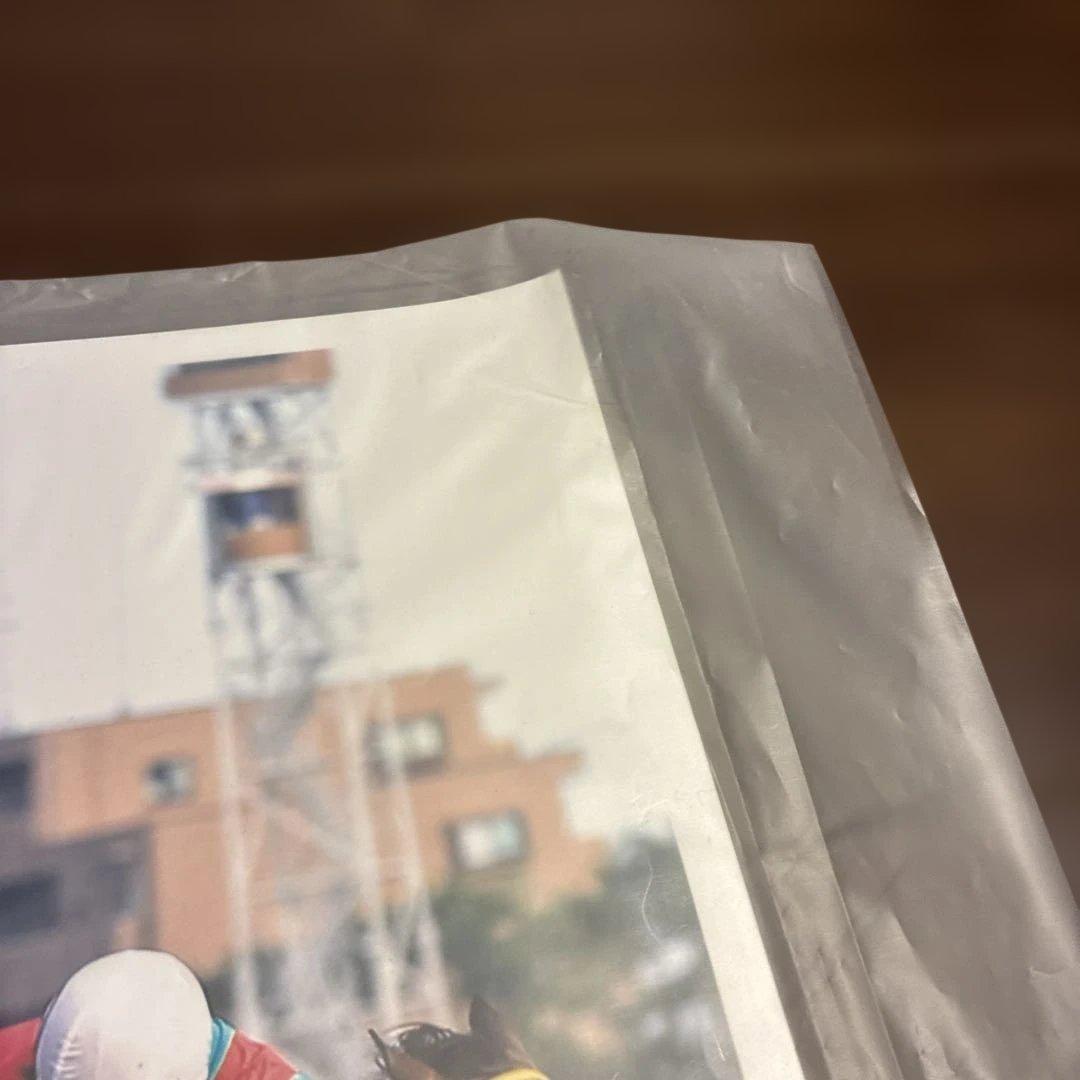 第8回ヴィクトリアマイル 優勝馬ヴィルシーナ