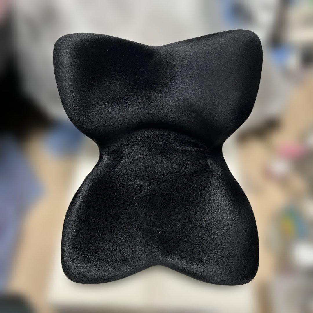 Style PREMIUM DX スタイルプレミアムデラックス