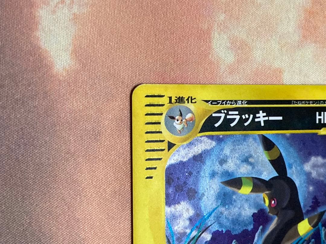 eカード　ブラッキー　ホロ　1ED