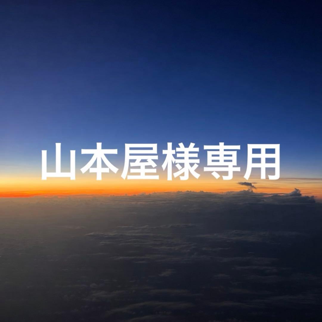 Red Velvet レドベル シーグリ2020 2021 2022 2023